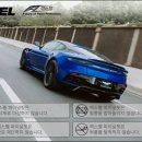 엑스펠동탄PPF