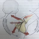 M트레이닝
