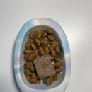 댕댕이밥상 | 아르밀 강아지화식사료｜입맛 까다로운 댕댕이를 위한 강아지화식추천! 소분 필요 없는 강아지보양식)