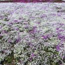 덕일농장 이미지