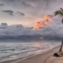 남북사랑결혼정보 이미지