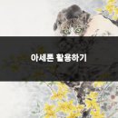 네일;오프로