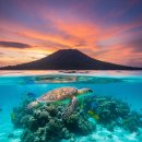 해양5로1L | 인도네시아 마나도 여행 총정리: 가볼만한곳부터 전자세관신고서 작성법까지