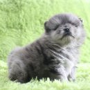 은아농장 이미지