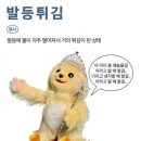 (주)주엔 이미지