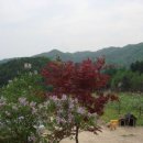 하늘아래사과