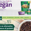 내새끼 펫 이미지