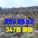 동읍347 이미지