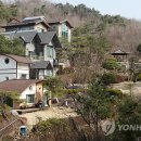 대지영농조합법인 이미지