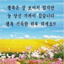 수예리오토캠핑장 이미지