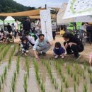 엑스포유치원 이미지