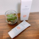 더 코스모스