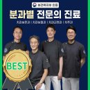 임플란티아치과의원 이미지