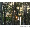 노을 빛에 물든 일상으로의 초대 이미지