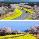 더큐브하우스리조트 이미지