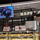 오규당신세계 이미지