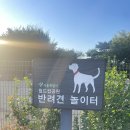 덕수농수산물 | 서울 무료 24시간 애견 운동장 상암 월드컵공원 반려견놀이터(feat.주차정보)