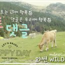 풍기농협 하나로마트 이미지