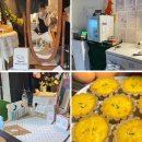 반려동물수제간식창업 이미지