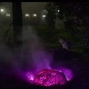 스페이스 아웃(space out) 이미지