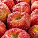 김영석농장 이미지