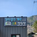경북 김천 사이트 넓은 계곡 앞 맑은계곡 오토캠핑장 C6 사이트 솔직 후기