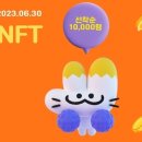 투리치 - 89585 | 투리치