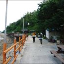 인디코리아 이미지