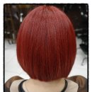 한스헤어 이미지