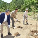 일조건설