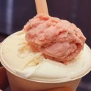 중앙동192 | 부산 중구 중앙동3가 원재료의 풍성한 맛을 자랑하는 이색적인 수제 젤라또 맛집 젤라마시또