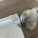 [진주]탐나는피자 진주점 | 1인피자 배불리 먹기 🍕