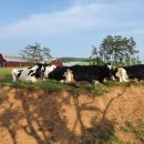 동서목장 이미지