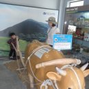 용문산관광지(야영장) 이미지