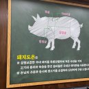 돼지도온 이미지