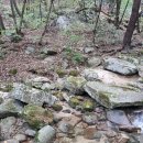 1246 | 오지산행후기(1246차) 강중부 능송이 꽝산행 2024.10.05(토)