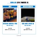벤자민 투어 이미지