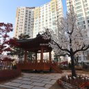 대광로제비앙공인중개사사무소 이미지