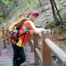 2015년5월14일 강원 춘천 삼악산과 남이섬 산행및관광 사진과영상 이미지