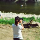 천등산캠핑장 이미지