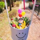 햇살다육꽃사랑 이미지