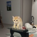 우진중고가구 | Selin half a year diary ; 2025년 ~ 5월 초까지의 일기