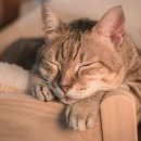 와이비메디칼 이미지