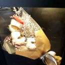 고르면장땡 이미지