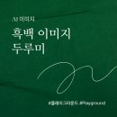 WATERSCAPE | 플레이그라운드로 두루미 흑백 이미지 만들기
