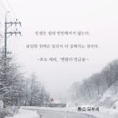 인생사진