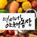 연씨네 야채농장