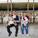 산양축산 이미지