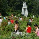 김영이 농장 경향신문