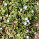 용두3리 마을회관 이미지